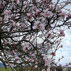 23-03-13 10-49-39 4826